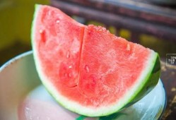 吃瓜小白白,吃瓜小白白的趣味食光之旅