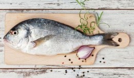 吃八瓜鱼,探寻海洋中的美味传奇