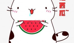 小肥猫吃瓜qq,揭秘网络红人的瓜田奇遇