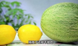 哈密瓜冷藏能保存多久吃,掌握技巧，延长美味时光