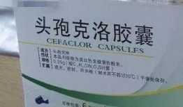 吃头孢可以吃瓜吗,揭秘抗生素与食物相克之谜