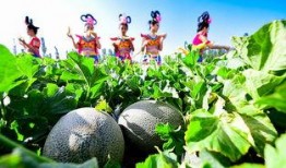 林仙女吃瓜,揭秘娱乐圈幕后真相