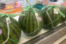 7seven吃瓜,揭秘娱乐圈幕后真相