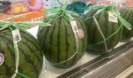 7seven吃瓜,揭秘娱乐圈幕后真相