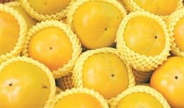 吃甘肃哈密瓜,甘肃哈密瓜的甜蜜之旅