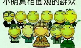 吃瓜群众备齐材料,吃瓜群众眼中的明星幕后故事