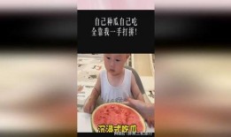 吃瓜全靠自己,揭秘娱乐圈幕后真相