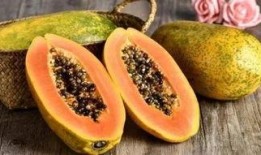 带你吃瓜南方,探寻美食与文化的独特魅力