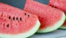 瓜子瓜子瓜吃西瓜,瓜子瓜吃西瓜的欢乐时光