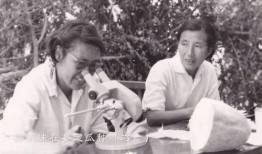 吃瓜女壮士,揭秘网络红人的崛起之路