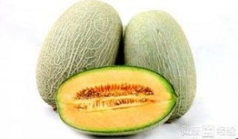 孕妇肾结石可以吃哈密瓜,哈密瓜助力健康饮食新选择