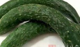 药瓜怎么吃才好吃,营养与口感双重享受