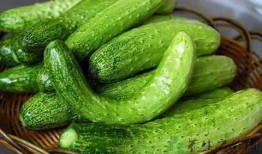 吃汉堡冬瓜的瓜,跨界美食新体验