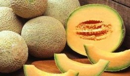 周岁宝宝能否吃哈密瓜,周岁宝宝哈密瓜食用指南