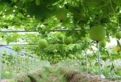 国外吃瓜地址,一网打尽全球热点事件