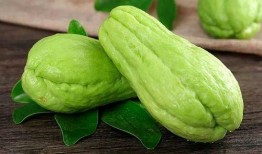 吃种子瓜,从吃种到收获的绿色奇迹