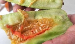 酒后可以吃酥瓜