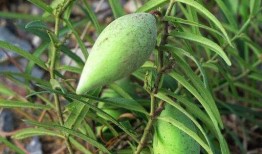 吃瓜拉瓢,揭秘娱乐圈背后的故事与真相