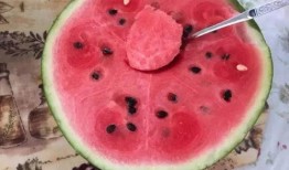 吃瓜不及时,别让错过成为遗憾——及时获取资讯，掌握热点动态