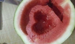 炫领吃瓜网,揭秘娱乐圈最新热点，带你畅游八卦海洋