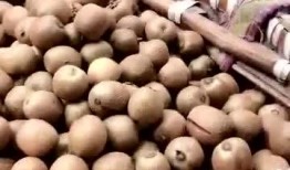 带你吃瓜野生鞭炮,带你领略传统火药的独特魅力