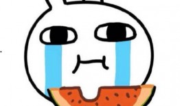 重医专吃瓜,揭秘校园热点事件背后的真相