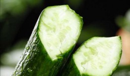 瓜怎么吃害虫,瓜类作物害虫的生态防治之道