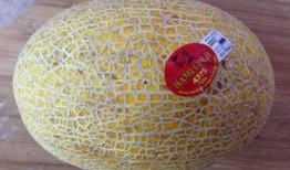 感冒可以吃哈密瓜酸奶吗,美味营养的辅助选择