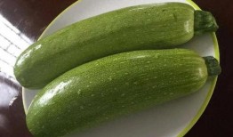 药瓜怎么吃才好吃,营养与口感双重享受