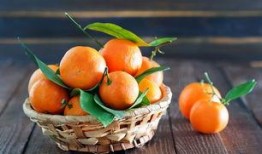 橘一凡吃瓜,揭秘娱乐圈背后的秘密