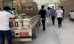 校园最新吃瓜事件,揭秘最新“瓜王”事件背后的真相