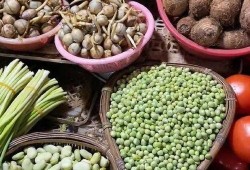 带你吃瓜南方,探寻美食与文化的独特魅力