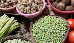 带你吃瓜南方,探寻美食与文化的独特魅力