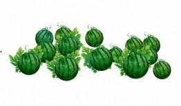 阿霖吃瓜,揭秘娱乐圈幕后故事