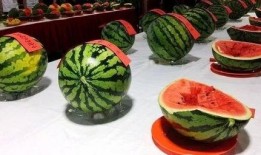 吃瓜宇西,网络红人的崛起与影响力