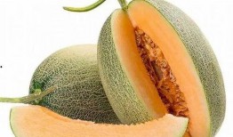 吃甘肃哈密瓜,甘肃哈密瓜的甜蜜之旅