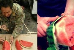 夏天的姿态吃瓜群众,吃瓜群众的热闹盛宴