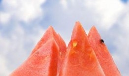 吃籽瓜会减肥吗,揭秘天然低脂美食的神奇效果”