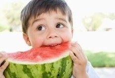 林灵素吃瓜,瓜田李下，揭秘娱乐圈幕后风云