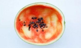 吃瓜要用勺,探索勺子的奇妙吃瓜之旅