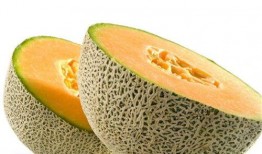 局长拿哈密瓜找队员吃瓜,队员共享欢乐时光