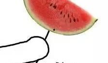 吃瓜不及时,别让错过成为遗憾——及时获取资讯，掌握热点动态