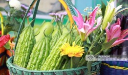 吃瓜广西艺术,吃瓜中的文化盛宴