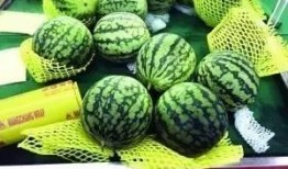 吃瓜群众贝壳,揭秘网络热议背后的真相