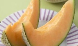 吃甘肃哈密瓜,甘肃哈密瓜的甜蜜之旅