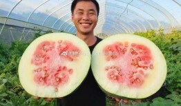 吃大猪瓜,一场味蕾与视觉的双重盛宴