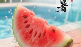 小暑 吃瓜,瓜果飘香，夏日清凉美食之旅