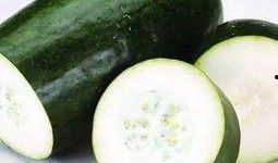 六瓜瓜吃瓜,六瓜瓜的瓜界探险记