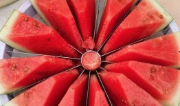 吃瓜比赛点头吃饭,点头吃饭的趣味瞬间