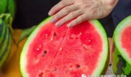 吃瓜网友名字大全,名字大全背后的趣味与智慧